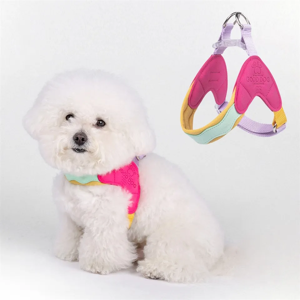 Šuniukų petnešos mažiems šunims